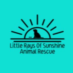 Little Rays of Sunshine Animal Rescue